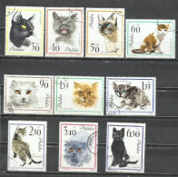 2802R- SERIE COMPLETA GATOS FELINOS POLONIA 1964 Nº 1332/1241 MUY BONITOS. - Gebraucht