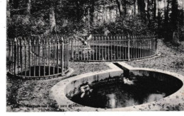Beloeil Les Fontaines Dans Le Parc Du Chateau - Belöil