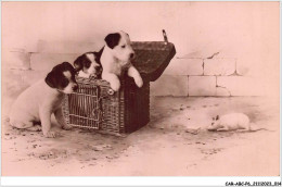 CAR-ABCP6-0486 - CHIEN - TROIS CHIENS REGARDENT UNE SOURIS - Dogs