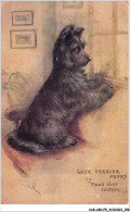 CAR-ABCP5-0475 - CHIEN - SKYE TERRIER PUPPY - UN CHIEN NOIR - Dogs