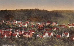 Bad Suderode/Harz Panorama Gl1922 #171.797 - Sonstige & Ohne Zuordnung