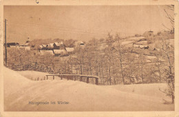 Harzgerode Im Winter Gl1921 #171.807 - Other & Unclassified
