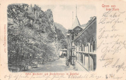 Hotel Waldkater Und Bischofsfelsen Im Bodethal Gl1904 #171.814 - Altri & Non Classificati