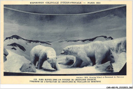 CAR-ABCP6-0509 - OURS - EXPOSITION COLONIALE INTERNATIONALE - PARIS - OURS BLANCS DANS UN PAYSAGE DU GROENLAND ORIENTAL - Osos