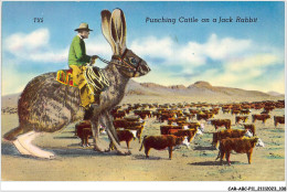 CAR-ABCP11-1049 - MONTAGE SUREALISME - PUNCHING CATTLE ON A JACK RABBIT  - Animaux Habillés