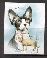 Afghanistan 1996 Cats MS MNH - Afganistán