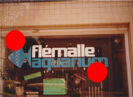 FLEMALLE AQUARIUM  Photographie De La Vitrine Publicité - Europa