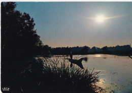 Coucher De Soleil Sur Le Marais - Andere & Zonder Classificatie