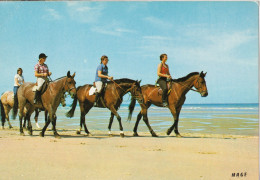 Promenade équestre Sur La Plage - Andere & Zonder Classificatie