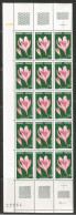 ANDORRE ANNEE 1975 N°247 NEUFS** MNH BLOC DE 15 EX TB COTE 18,00 €  - Unused Stamps