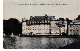 Beloeil Le Chateau Du Prince De Ligne Vu Du Bassin De Neptune - Beloeil