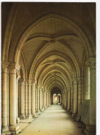 Laon - Cathédrale Notre-Dame - Tribune Du 1er étage - Laon