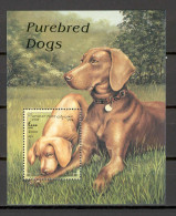 Afghanistan 1998 Dogs MS MNH - Perros