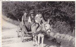 Old Real Original Photo - Little Boy On A Donkey Pulling Cart - 1958 - Ca. 12.5x8.5 Cm - Personnes Anonymes