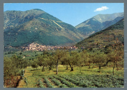 °°° Cartolina - S. Donato Val Di Comino Panorama - Viaggiata °°° - Frosinone