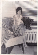 Old Real Original Photo - Sexy Woman Posing Next To A Ficus Tree - Ca. 12.6x8.8 Cm - Anonyme Personen