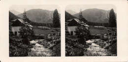 Stereo, Italia, Niederdorf, Pragswildsee, Nr.1815 - Photos Stéréoscopiques