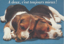 CP  Chiots Et Chatons  A Deux, C’est Toujours Mieux - Honden