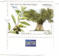Portugal ** & Mediterranean Trees, Olea Europaea, Oliveira  2017 (8693) - Ongebruikt