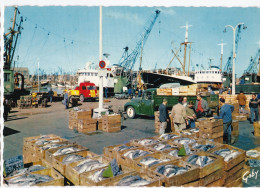 Boulogne-sur-Mer - Débarquement Du Poisson - Boulogne Sur Mer