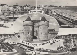 SOUVENIR DE LA COTE D AMOUR, MULTIVUE REF 16279 - Greetings From...