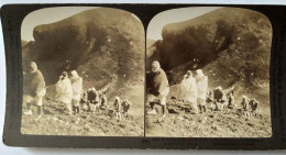 Photographie Stéréoscopique Pèlerins Montant Au Mont Fuji  - 1903 H.C White - TBE - Stereoscoop