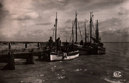 N° 39 D2  CAYEUX LE HOURDEL L ESTACADE - Cayeux Sur Mer