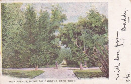 4823148Cape Town, Main Avenue, Municipal Gardens. (see Corners, See Sides) - South Africa