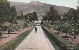 4823154Paarl, Pubic Gardens. 1907. (see Corners, See Sides) - South Africa