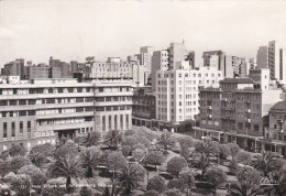 4823163Johannesburg, Plein Square And Johannesburg Skyline. 1953.(see Corners, See Sides) - South Africa