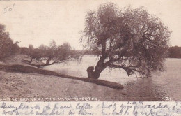 4823134Riverton, On The Banks Of The Vaal Riverton.(briefmark 1905)(see Corners, See Sides) - Sudáfrica