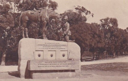 4823132Port Elizabeth, Horse Memorial. - Afrique Du Sud