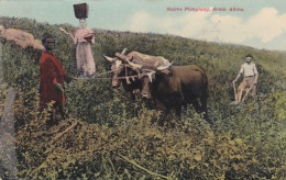 482359Native Ploughing. 1910. (The Top Layer Is Letting Go) - South Africa