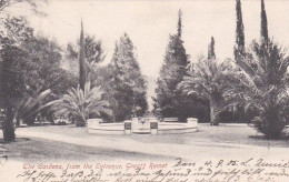 482338Graaff Reinet, The Gardens From The Entrance. (postmark 1905) - South Africa