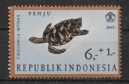 INDONESIE  N° 497   * *  Tortue - Tartarughe