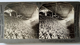 Photographie Stéréoscopique  Stockage De Betteraves, Montréal, Canada - Keystone  TBE - Stereoscopic