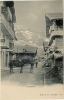 CPA  9 X 14 Suisse Valais CHAMPERY  Cavalière Cheval Rue " Chalet Meublé à Louer " - Champéry