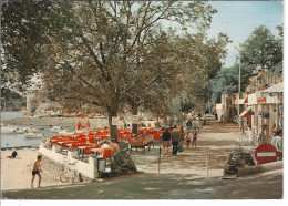 44 - PORNIC - T.Belle Vue Animée Pas Très Courante , De La Terrasse , Du Club Nautique Et Plage Du Château - Pornic