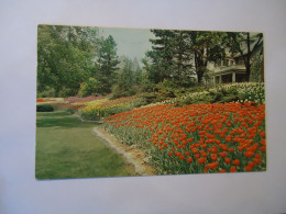 CANADA  POSTCARDS OTTAWA   1961 TULIP FESTIVAL - Unclassified