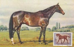 Carte Maximum Luxembourg Protection Des Animaux Cheval Horse - Maximumkarten