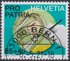 2021 Schweiz Pro Patria, Freske ⵙ Zum:CH B343, Mi:CH 2711, Yt:CH 2637 - Used Stamps