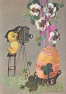 PASQUA POLLO Vintage Cartolina CPSM #PBO958.A - Pâques