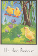 PASCUA POLLO HUEVO Vintage Tarjeta Postal CPSM #PBO632.A - Easter