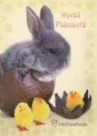 OSTERN KANINCHEN Vintage Ansichtskarte Postkarte CPSM #PBO495.A - Ostern