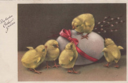 EASTER CHICKEN EGG Vintage Postcard CPA #PKE376.A - Easter