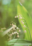 FLOWERS Vintage Postcard CPSM #PBZ704.A - Flowers