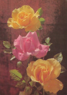 FIORI Vintage Cartolina CPSM #PAR995.A - Flowers