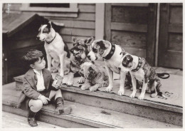 PERRO Animales Vintage Tarjeta Postal CPSM #PAN883.A - Honden