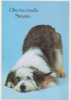 PERRO Animales Vintage Tarjeta Postal CPSM #PAN423.A - Perros