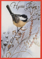 BIRD Animals Vintage Postcard CPSM #PAN087.A - Vogels